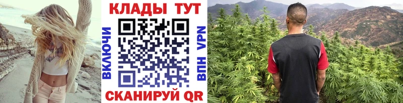 Купить наркотики Александровск-Сахалинский Конопля  Кокаин  Метамфетамин  Гашиш  Альфа ПВП 