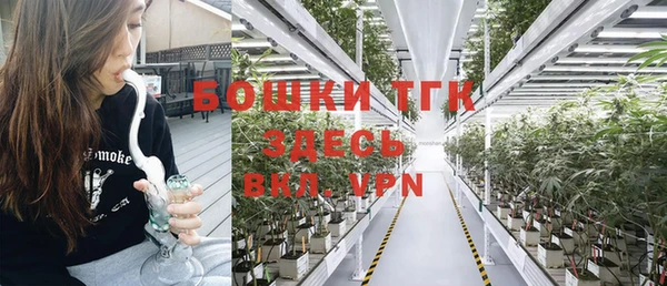 сатива Пестово