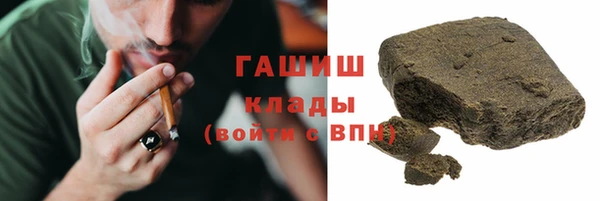 дмт Пересвет