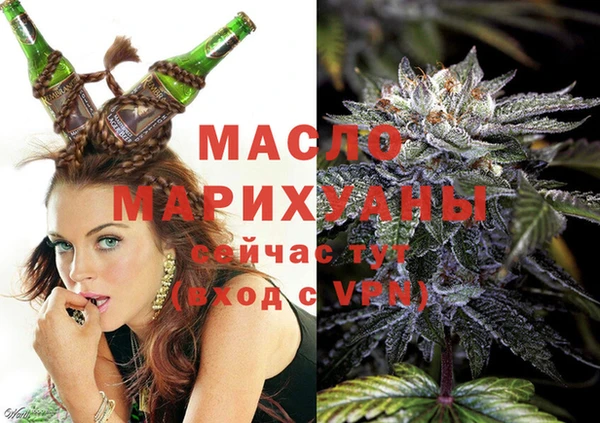 дмт Пересвет
