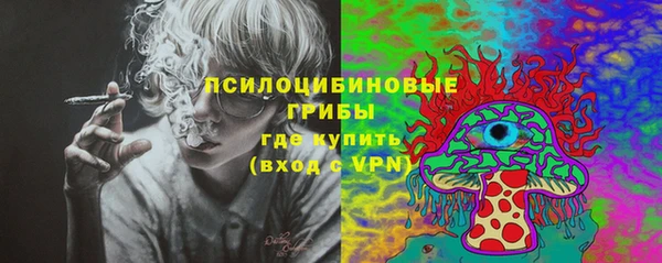 сатива Пестово