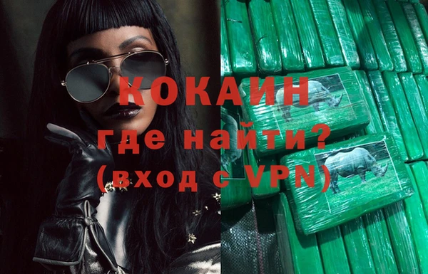 дмт Пересвет