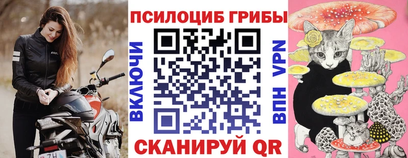 Псилоцибиновые грибы Psilocybine cubensis цены Александровск-Сахалинский